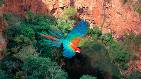 acontece-no-sistema112_27575518